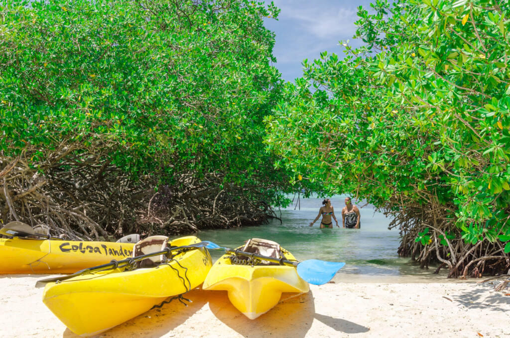 Mangel Halto beach is great for swimming and snorkeling, including activities like kayaking.